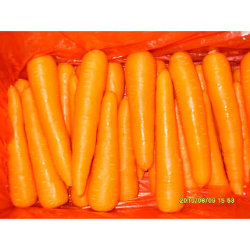 Nuevo Crop Fresh Carrot (SML)